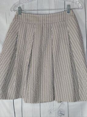 Gunex Striped Pleated A-Line High-Waisted  Skirt